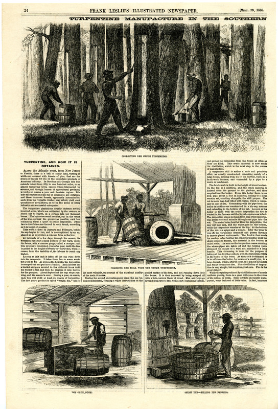 Turpentine Manufacture In The Southern States