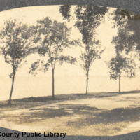 Photo Album Image, XI.1i2