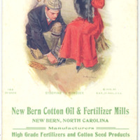 nbcottonB0001a.jpg