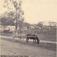 Mule cart, location unknown