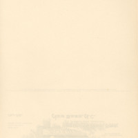 neuselumberA0002a.jpg